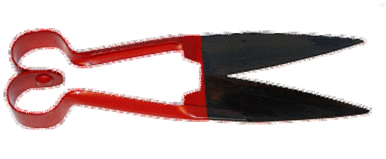 Afbeelding van SCHAPENWOLSCHAAR