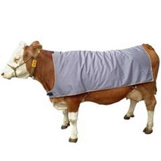 Afbeelding van KOEDEK THERMO KERBL GRIJS 155 CM