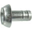 Afbeelding van KKV + TULE PERROT 4"