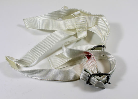 Afbeelding van NYLON HALSTER WIT KALF