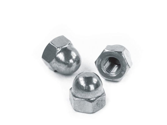 Afbeelding van DOPMOER DIN1587 RVS M6 100ST