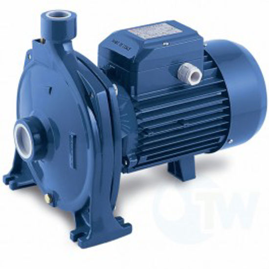 Afbeelding van WATERPOMP PEDROLLO CPM 170