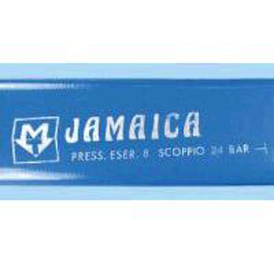 Afbeelding van BRANDWEERSLANG JAMAICA 4" 102 MM PM