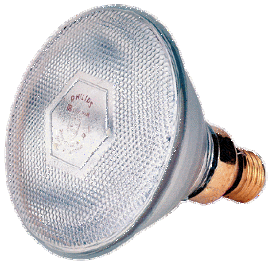 Afbeelding van WARMTELAMP PHILIPS WIT 150 W 10 ST