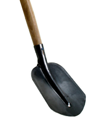 Afbeelding van MIDI-BATS T.T. COMPLEET KG10