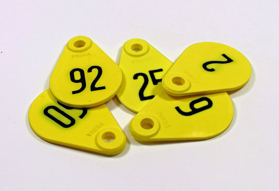 Afbeelding van NEKPLAATJE GENUMMERD GEEL NR15