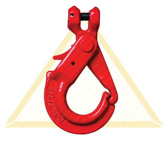 Afbeelding van GAFFELHAAK DELTALOCK MET SLOT GR80 5.3T