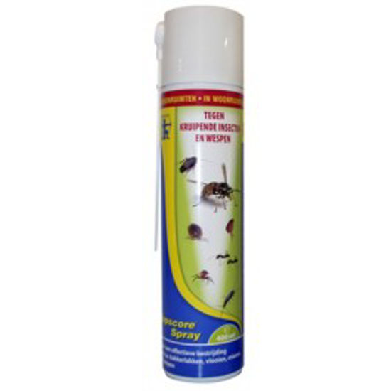 Afbeelding van KRUIPEND INSECT.TOPSCORE 400ML REG:12744