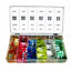 Afbeelding van ZEKERINGEN MINI ASSORTIMENT
