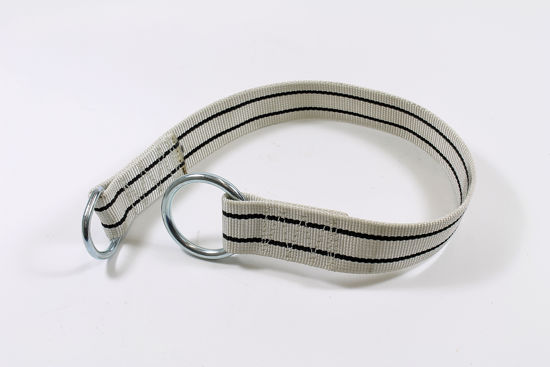 Afbeelding van HIJSBAND MET RINGEN HBBBG