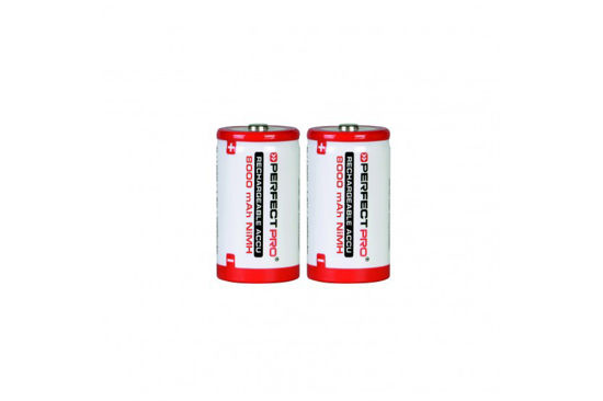 Afbeelding van BATTERIJEN PERFECT PRO D 8000 mAH 2 ST