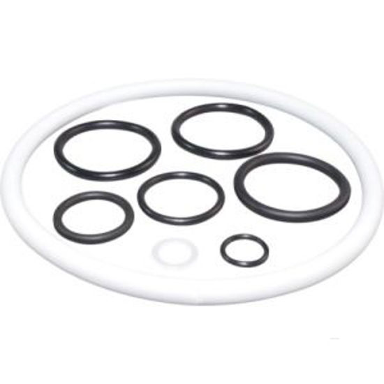 Afbeelding van PAKKINGSET BIRCHMEIER FLOX, IRIS