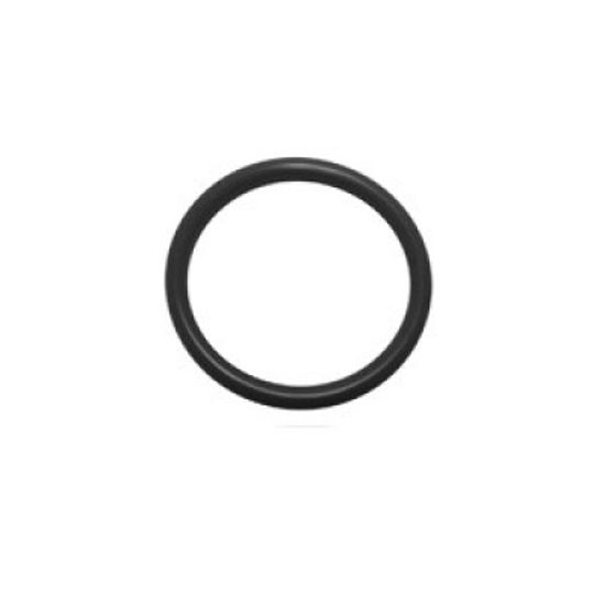 Afbeelding van O-RING PEDROLLO POMPHUIS 209,14X3.53