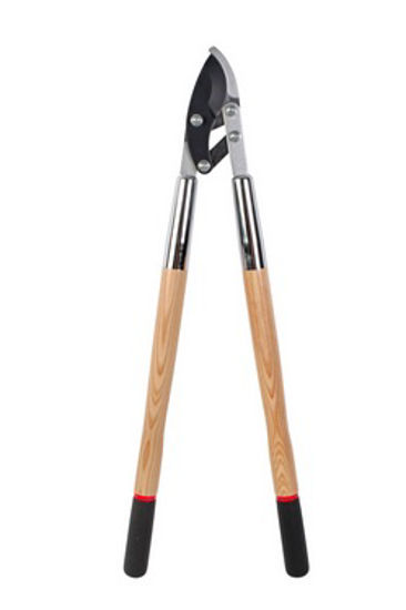 Afbeelding van TAKKENSCHAAR PROFESSIONEEL ESSEN D783