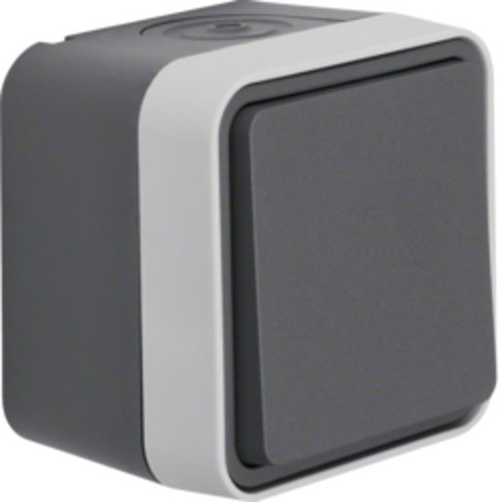 Afbeelding van SCHAKELAAR WISSEL BERKER