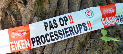 Afbeelding van AFZETLINT PAS OP! PROCESSIERUPS 250MT