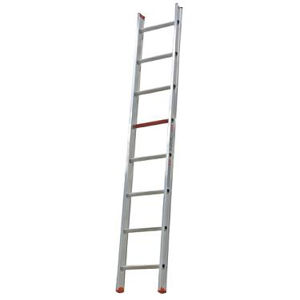 Afbeelding voor categorie Ladders