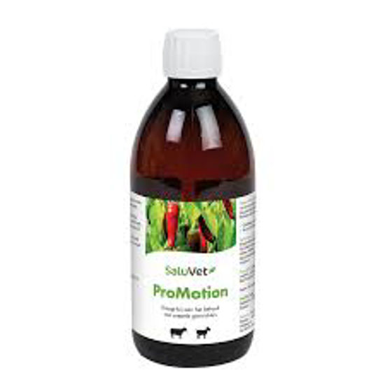 Afbeelding van PROMOTION SALUVET SPRAY 500ML